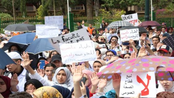 هذه تفاصيل لقاء الرميد بطلبة الطب لإنقاذهم من شبح السنة البيضاء