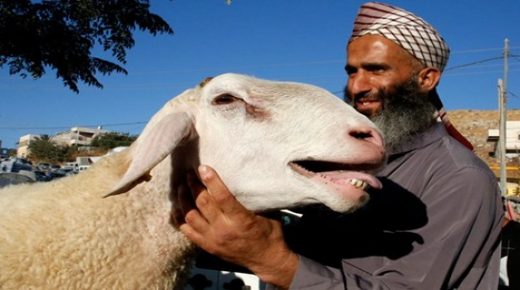 20 دولة تحتفل بعيد الأضحى يوم الاثنين