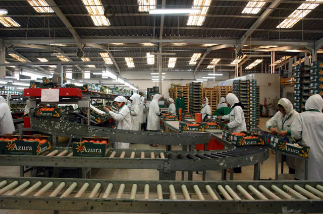 مجموعة فلاحية تتبرعُ بـ2.5 مليار سنتيم لصندوق مواجهة “كورونا”