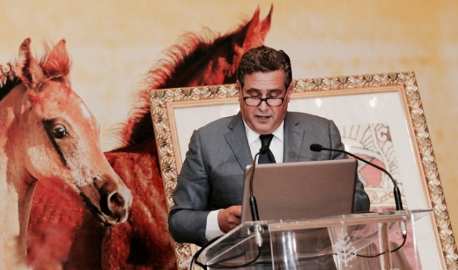 فضيحة مدوية في زمن كورونا بطلها الوزير الملياردير!.. أخنوش يخصص دعما مالياً للحصان الواحد يفوق ما خصص لأسرة مغربية من أربعة أفراد! (وثيقة)