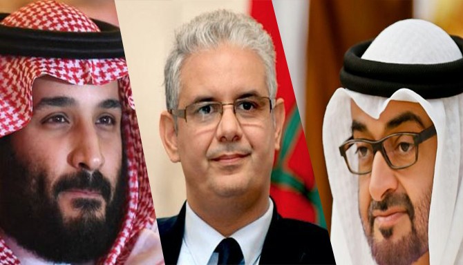 ملمحا للإمارات والسعودية.. حزب الاستقلال: خفافيش تشتغل باليل والنهار من أجل النيل من سمعة بلادنا