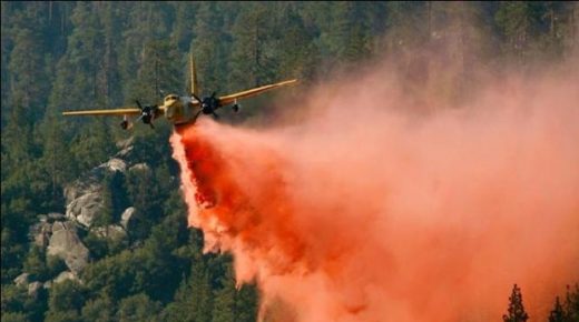 بعد الاستعانة بطائرات عسكرية.. تفاصيل إخماد نيران إلتهمت 36 هكتارا من “الغابة الديبلوماسية” بطنجة