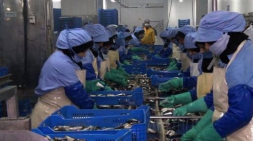 جائحة كورونا تضرب مدينة آسفي!.. إغلاق جميع منافذ المدينة بسبب بؤرة وبائية بداخل معمل لتصبير السمك