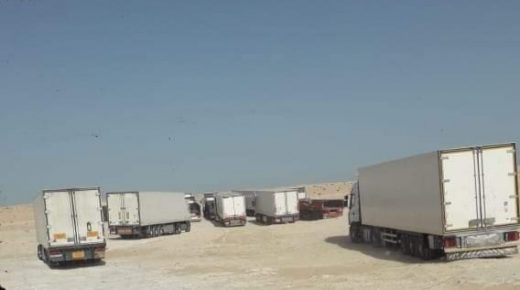 منظمة دولية ترصد أجواء وقف إطلاق النار بين المغرب والجبهة في ظل جائحة كورونا
