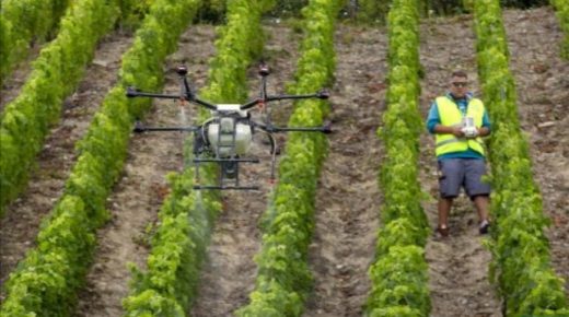 التكنلوجيا الفلاحية: ثورة رقمية من أجل فلاحة عصرية