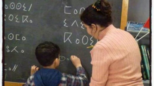 مناهج جديدة لتدريس الأمازيغية ابتداء من الموسم المقبل