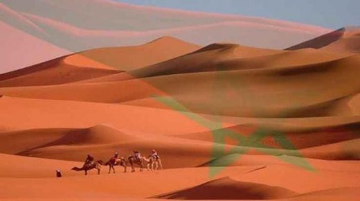 ما سبب تأخير تعيين مبعوث أممي جديد إلى الصحراء خلفا لهورست كولر؟