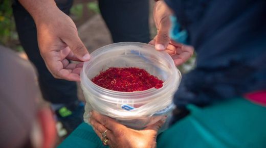 لمساعدة أرملة.. بيع 150 غراما من الزعفران بـ15 مليون سنتيم