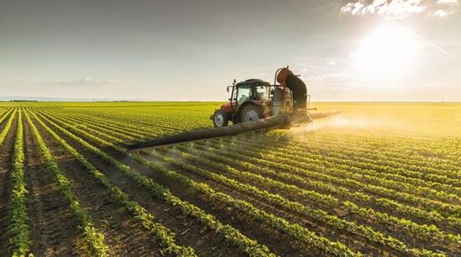 نشاط القطاع الفلاحي الوطني يسجل انتعاشا خلال الموسم الحالي