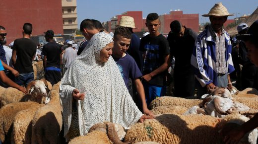 إنتقال فيروس كورونا من البشر إلى الأضاحي.. هذه هي التفاصيل الكاملة!