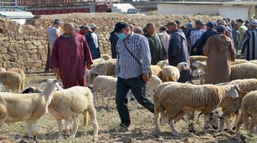 هل تقدمُ صرف الرواتب والمعاشات لشهر يوليوز بشكل استثنائي قبل موعد عيد الأضحى؟