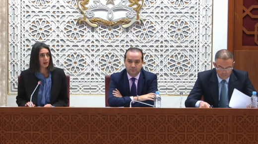 وزيرة المالية : الحكومة الحالية حافظت على هيكلة مقلصة (24 وزير)