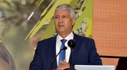 بسبب إرتفاع غلاء الأسعار.. وزير الفلاحة يستفز ملايين المغاربة!