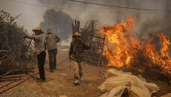 توزيع إعانات مالية على أصحاب المنازل المتضررة من حرائق الغابات بتطوان