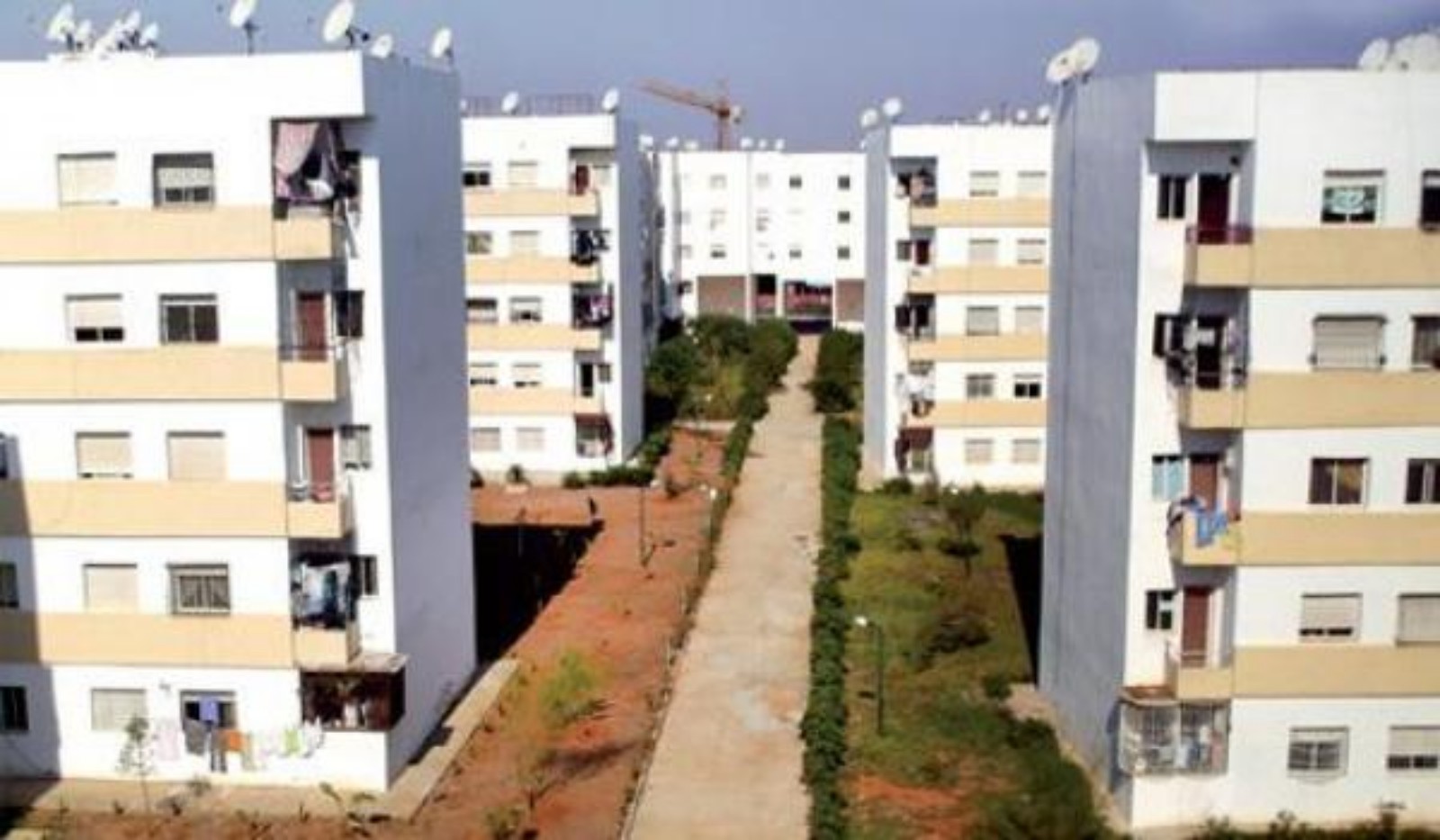 الناطق باسم الحكومة: الدعم المالي المباشر لاقتناء السكن بعد المصادقة على قانون المالية