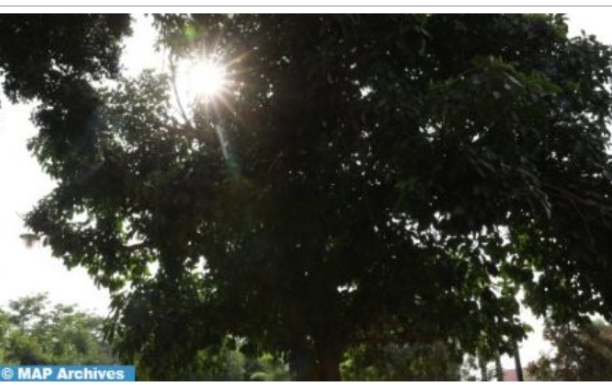 موجة حر مرتقبة من الأحد إلى الأربعاء بعدد من مناطق المملكة (نشرة إنذارية)