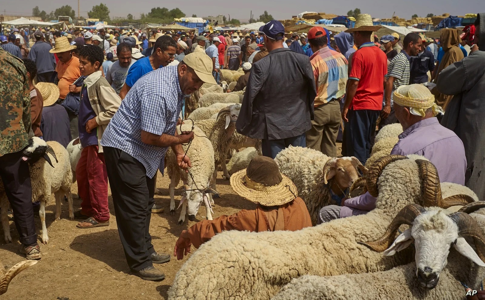 عيد الأضحى.. الحكومة لم تحسم الجدل