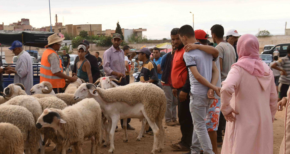 عيد الأضحى.. جدل مستمر وسط شائعات الإلغاء!