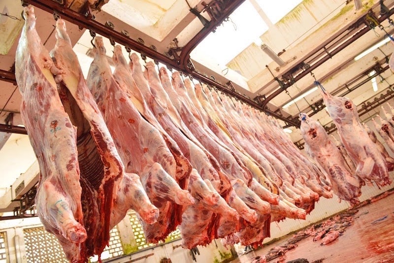 66 بالمائة من المغاربة «عافوا» اللحوم المستوردة!