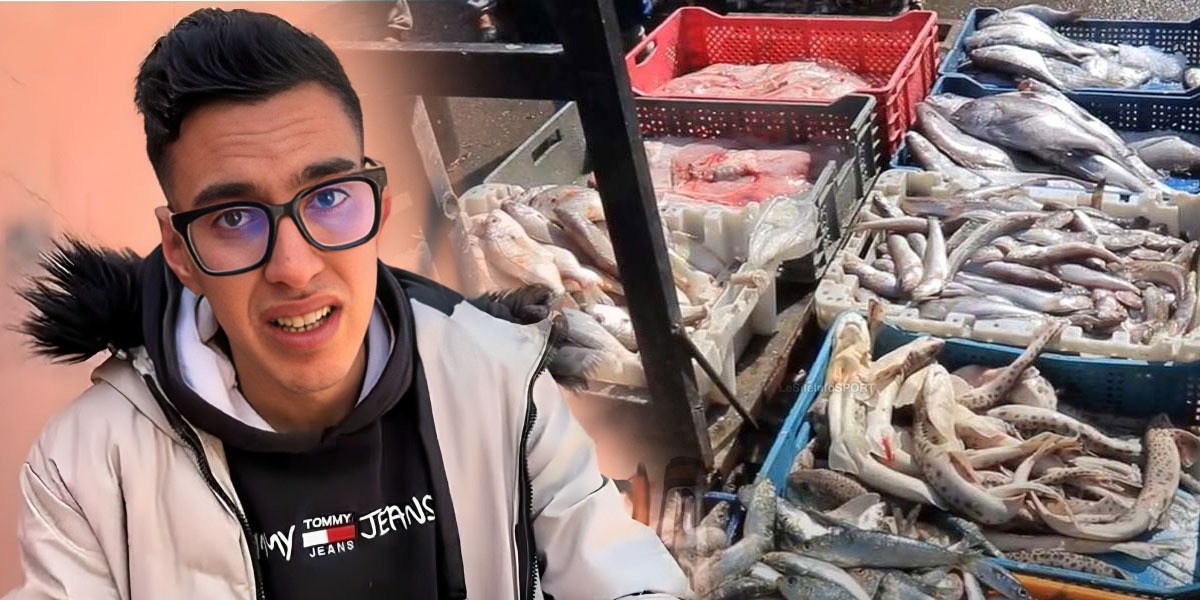 احتكار الوسطاء يشعل أسعار السردين في المغرب.. وخبير يكشف الحل