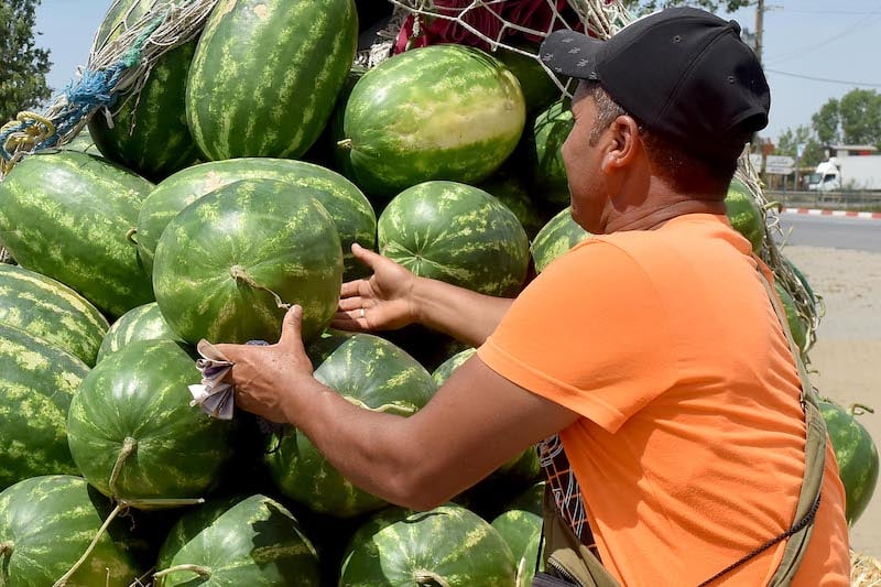 حظر زراعة “الدلاح” في تاونات يفرض البحث عن بدائل لإنقاذ الفلاحين