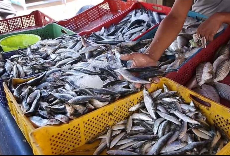 كاتبة الدولة في الصيد البحري : مبادرة حوت بثمن معقول تنتظر المغاربة قبل رمضان