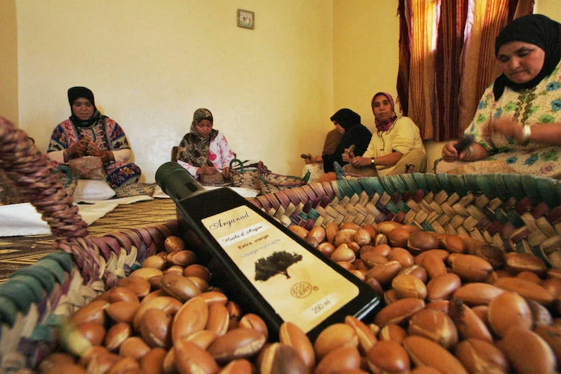 شركات أجنبية تهاجم “ذهب المغرب السائل” والفلاحون يرفعون شعار: الأركان لنا!