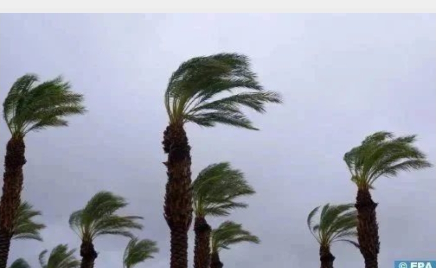 هبات رياح قوية مع تطاير الغبار وتساقطات ثلجية مرتقبة يومي الاثنين والثلاثاء بعدد من مناطق المملكة (نشرة إنذارية)