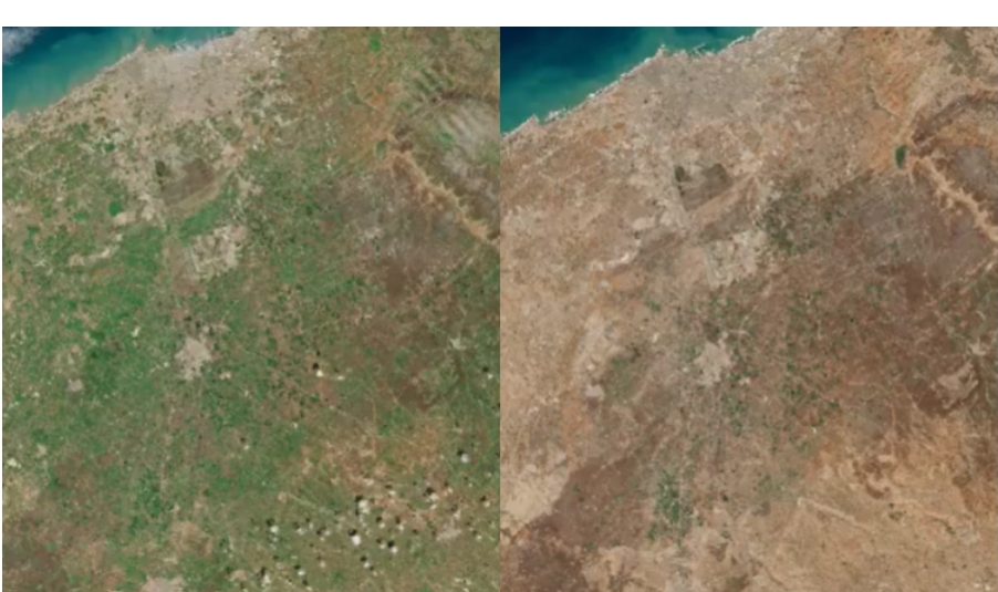 اللون الأخضر يغمر التراب الوطني.. صور فضائية تظهر تأثير الأمطار على الغطاء النباتي