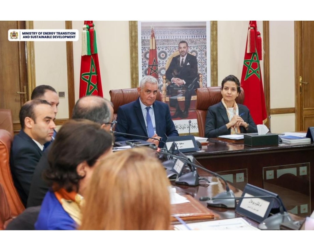 بنعلي: الهيدروكربورات والمعادن مفتاح السيادة الطاقية للمغرب