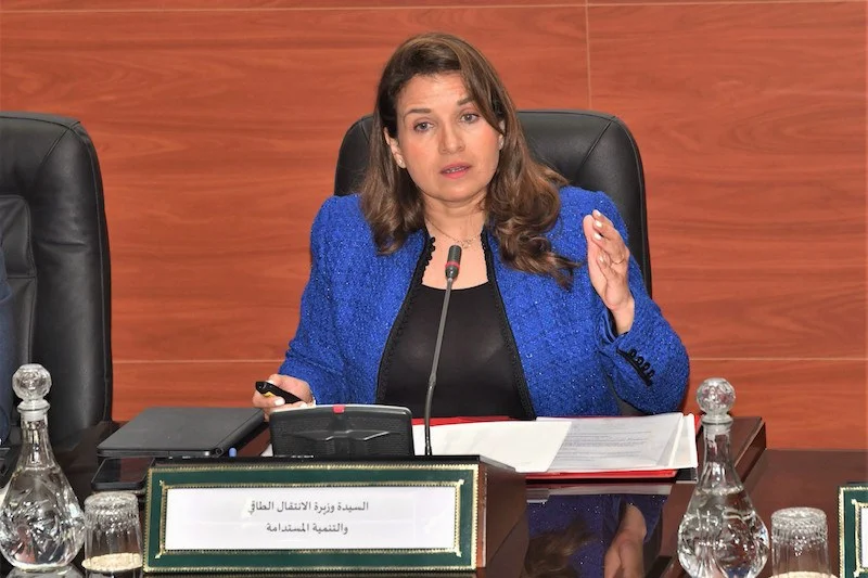 ليلى بنعلي… صوت السيادة الطاقية وعقل الدولة الهادئ