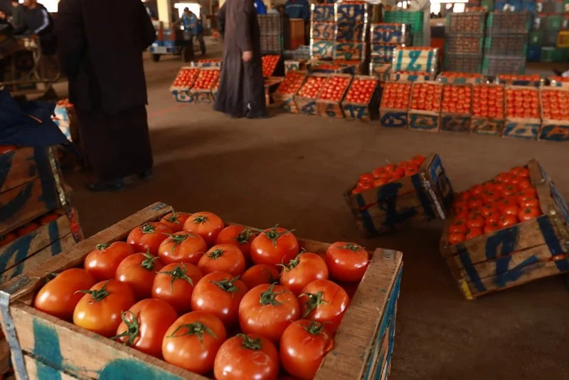 المغرب يربك خصومه في أوروبا ويفند أسطورة التهرب الضريبي