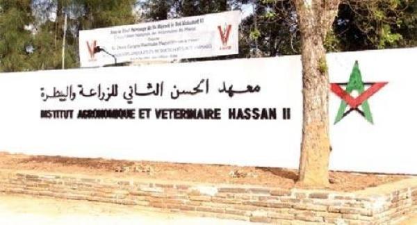 غضب داخل معهد الحسن الثاني بأكادير بعد شراكة “تكوينية” مع منظمة صهيونية