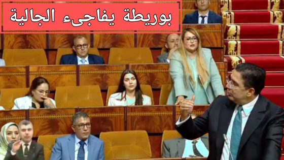 بوريطة يتكلم عن الجالية داخل البرلمان