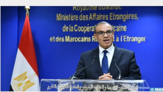 وزير الخارجية المصري: مصر تدعم سيادة الدول ووحدتها الترابية