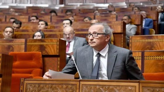 برلماني يطالب بإنصاف مختصي الإدارة والاقتصاد بوزارة التعليم ويُدين تهميشهم في النظام الأساسي الجديد