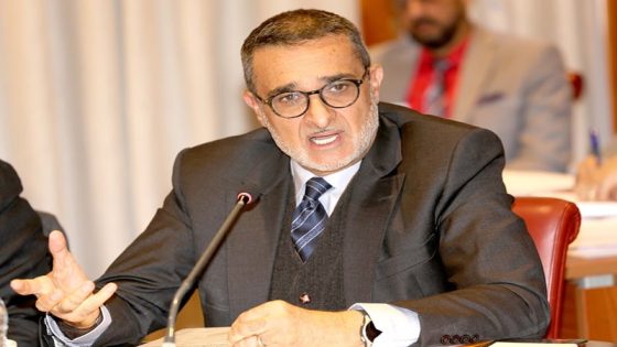 هل حُسم مستقبل الإدارة التقنية للقطب العمومي؟ العرايشي يعيد ترتيب أولويات دار البريهي