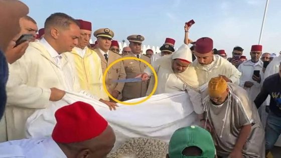 كواليس إعفاء مفاجئ لواليي فاس ومراكش بعد واقعة ذبح الأضاحي أمام الكاميرات