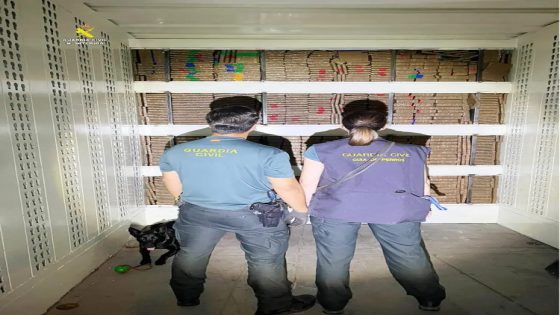 فضيحة بميناء طنجة المتوسط.. شحنة حشيش ضخمة تعبر إلى إسبانيا دون رقابة