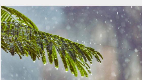 طقس حار من الجمعة إلى الثلاثاء، وزخات رعدية اليوم الجمعة بعدد من مناطق المملكة (نشرة إنذارية)