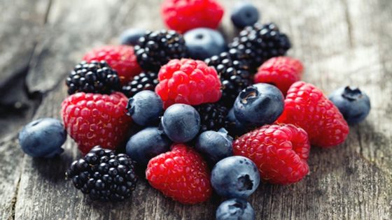 التوت المغربي يغزو أسواق الخليج والمغرب يكرّس موقعه كقوة فلاحية عالمية