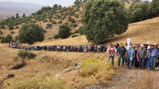 بعد احتجاجات “مسيرة الكرامة”.. بوادر انفراج تنموي في آيت بوكماز