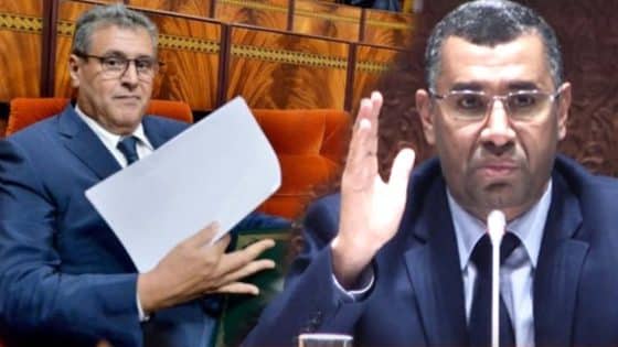 بوانو: تحالف المال والسلطة يخنق الدولة والحكومة باتت رهينة لهولدينغ رئيسها