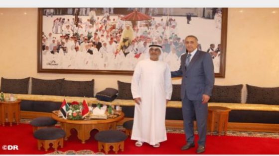 السيد عبد اللطيف حموشي يستقبل رئيس جهاز الاستخبارات الوطني لدولة الإمارات العربية المتحدة