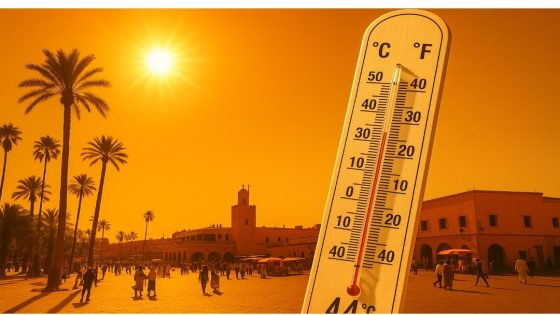 تاونات ومراكش والجنوب الشرقي في صدارة موجة الحر الجمعة