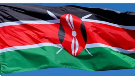 كينيا تلغي متطلبات التأشيرة لمواطني الدول الإفريقية