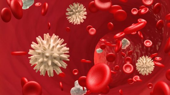 سابقة طبية مغربية.. المغرب ينجح في إعادة برمجة خلايا الدم إلى خلايا جذعية مستحثة متعددة القدرات