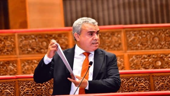 البرلماني السطي يطالب بإقرار مبدأ المعاملة بالمثل في نظام التأشيرات مع أوروبا