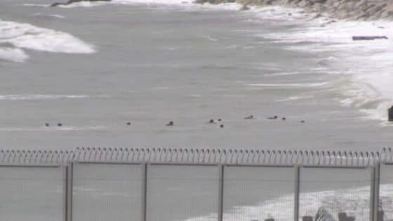 كواليس ليلة من الرعب على حدود الفنيدق وسبتة ومحاولات جماعية للهجرة تتحول إلى مآسٍ