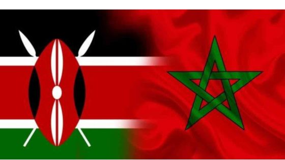كينيا تعرب عن رغبتها في الاستفادة من الخبرة المغربية في مجال مكافحة الجرائم الإلكترونية